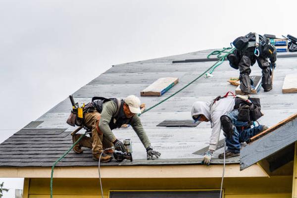 Your Trusted Partner for Professional Roof Repairs